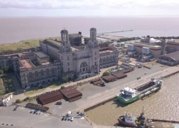 The largest electricity generator in the country lands in Vaca Muerta and reveals an ambitious diversification strategy