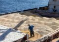 Zelensky accused Israel of buying stolen grain