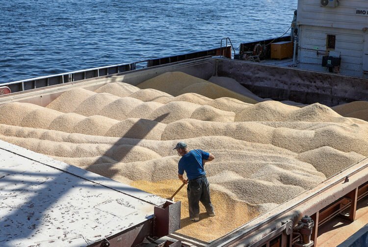 Zelensky accused Israel of buying stolen grain