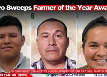 Cayo Sweeps Farmer of the Year Awards