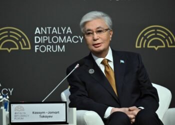 The Security Council is the main element for UN reform