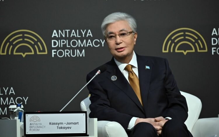 The Security Council is the main element for UN reform