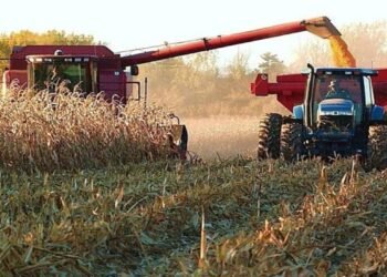 Agricultural producers in Venezuela demand the “same level” of attention as oil and mining