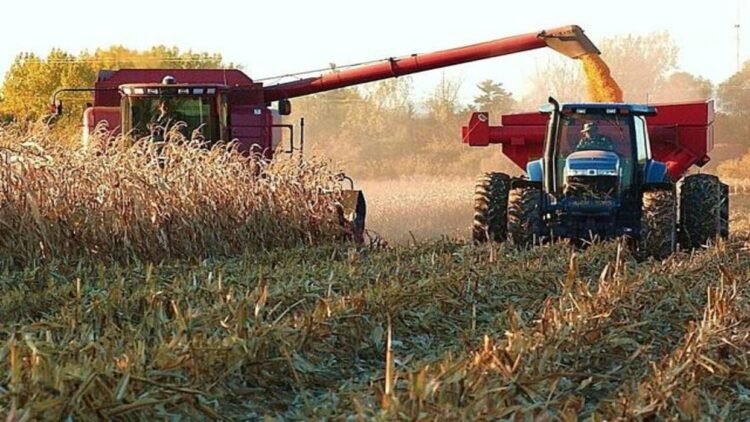Agricultural producers in Venezuela demand the “same level” of attention as oil and mining