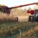 Agricultural producers in Venezuela demand the “same level” of attention as oil and mining