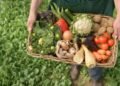 Georgia’s agricultural sector shows diverse results in 2025