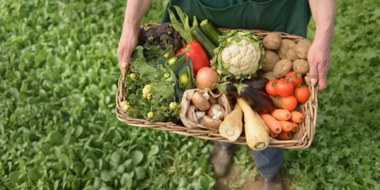 Georgia’s agricultural sector shows diverse results in 2025