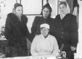 A forgotten disaster: how Tajikistan got rid of malaria that was killing tens of thousands