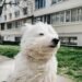 Strong wind and light rain: weather forecast in Moldova for the weekend