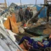 A new Zionist aggression against Gaza