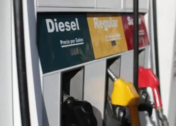 Subsidy or elimination of taxes: experts warn that the solution could be implemented too late