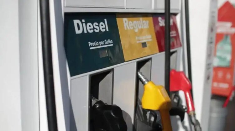 Subsidy or elimination of taxes: experts warn that the solution could be implemented too late