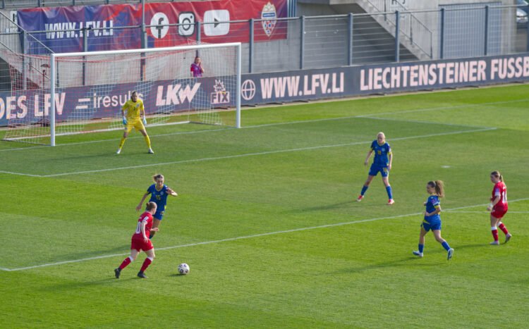 Bosnia dismantled Liechtenstein 6-0