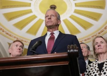 Senate GOP unveils $70B immigration plan in bid to end DHS shutdown