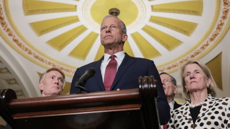 Senate GOP unveils $70B immigration plan in bid to end DHS shutdown