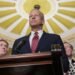 Senate GOP unveils $70B immigration plan in bid to end DHS shutdown