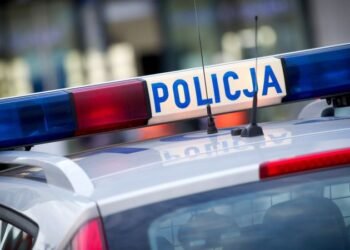 Polish man arrested following undercover CNN investigation into online rape networks