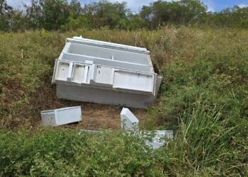 Dumping blights community as MP calls for enforcement action