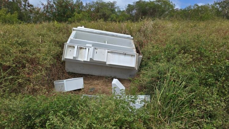 Dumping blights community as MP calls for enforcement action