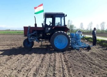 Cotton sowing has begun in Tajikistan: farmers are required to sow 70% of the land