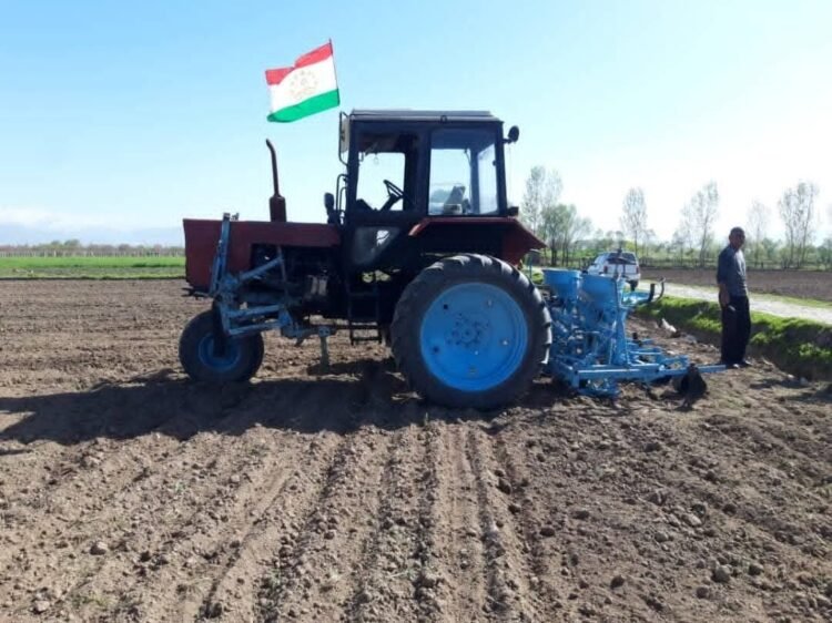 Cotton sowing has begun in Tajikistan: farmers are required to sow 70% of the land