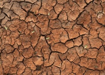 Climate experts say hotter, drier days ahead