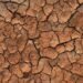 Climate experts say hotter, drier days ahead