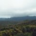 This Is the Rainforest in Grenada Everyone Talks About — And It’s Got a Crater Lake, Jungle Trails, and Mona Monkeys