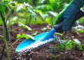 Azerbaijan lifts curtain on fertilizer export and import metrics in 3M2026