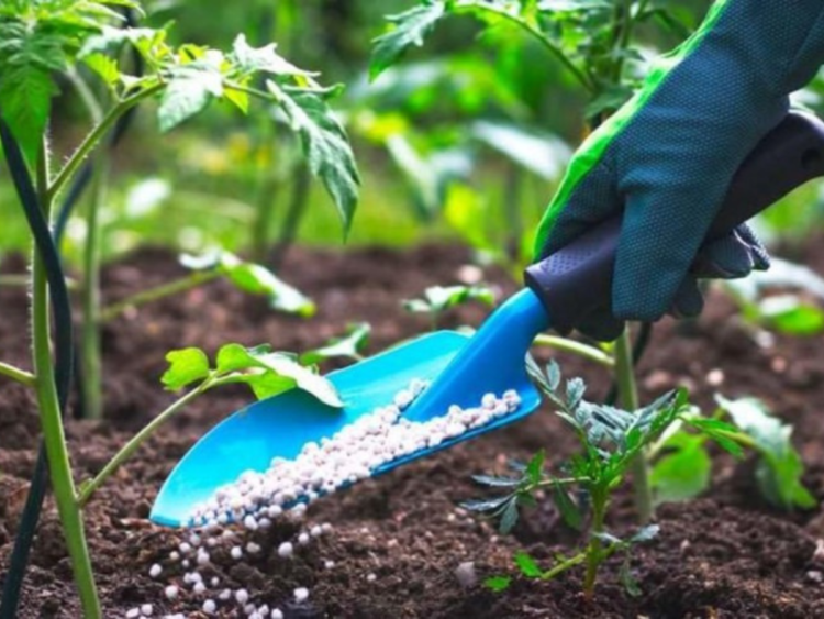 Azerbaijan lifts curtain on fertilizer export and import metrics in 3M2026