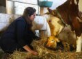 Slobodna Dalmacija – VIDEO Anđela left Zagreb and returned to her native Imotski with two horses: ‘Don’t wait for retirement to start living’