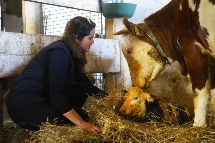 Slobodna Dalmacija – VIDEO Anđela left Zagreb and returned to her native Imotski with two horses: ‘Don’t wait for retirement to start living’