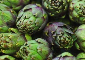 Slobodna Dalmacija – They are real local food and very healthy, but many people avoid artichokes. Try this recipe, you will love it!
