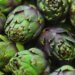 Slobodna Dalmacija – They are real local food and very healthy, but many people avoid artichokes. Try this recipe, you will love it!