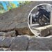 Slobodna Dalmacija – People of Split, beware! This was a second before the disaster, look what a bovančina collapsed on the street in the middle of the city