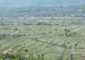 Slobodna Dalmacija – VIDEO Video from Imotski reveals the real truth, this is why we import expensive, artificial food. Listen to the man, everything is a river…