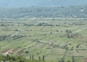 Slobodna Dalmacija – VIDEO Video from Imotski reveals the real truth, this is why we import expensive, artificial food. Listen to the man, everything is a river…
