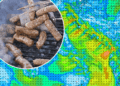 Slobodna Dalmacija – For days we have been hearing about the cold for Labor Day, Šolić disagrees! Will we still be able to grill outside? Just be careful!