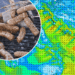 Slobodna Dalmacija – For days we have been hearing about the cold for Labor Day, Šolić disagrees! Will we still be able to grill outside? Just be careful!