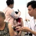 Suspected rabid dog attacks 3 people, kills 4 puppies in Ho Chi Minh City