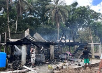 Linden Family loses over $25M after Easter Monday fire destroys home