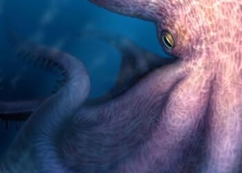 Giant octopus was a top predator 100 million years ago