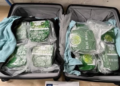 Sixteen arrested over alleged involvement in drug smuggling syndicate