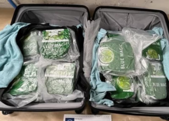 Sixteen arrested over alleged involvement in drug smuggling syndicate