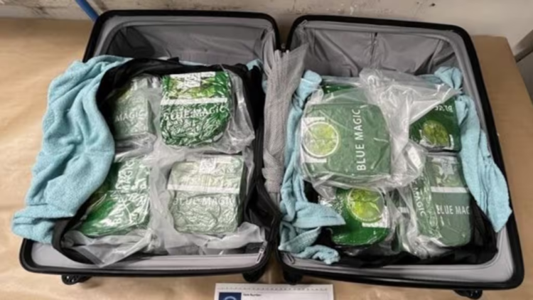 Sixteen arrested over alleged involvement in drug smuggling syndicate