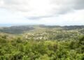 Sandals Foundation takes students on mindfulness nature trail for Earth Day