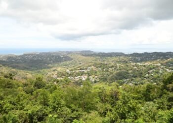 Sandals Foundation takes students on mindfulness nature trail for Earth Day