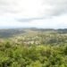 Sandals Foundation takes students on mindfulness nature trail for Earth Day