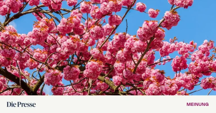 Close the windows, otherwise there will be madness – DiePresse.com