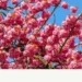 Close the windows, otherwise there will be madness – DiePresse.com